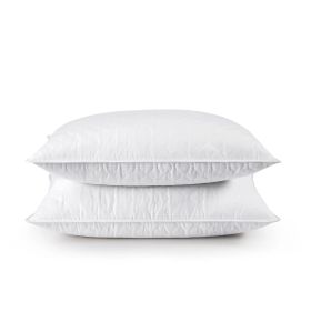 Set of 2 Machine Washable Down Feather Blend Pillow in Standard/Queen size