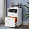White Rolling 2-Drawer Mobile File Cabinet
