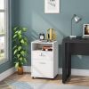 White Rolling 2-Drawer Mobile File Cabinet