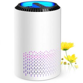 HEPA Air Purifier with Light Extra Large Room (300 Sq. Ft), White